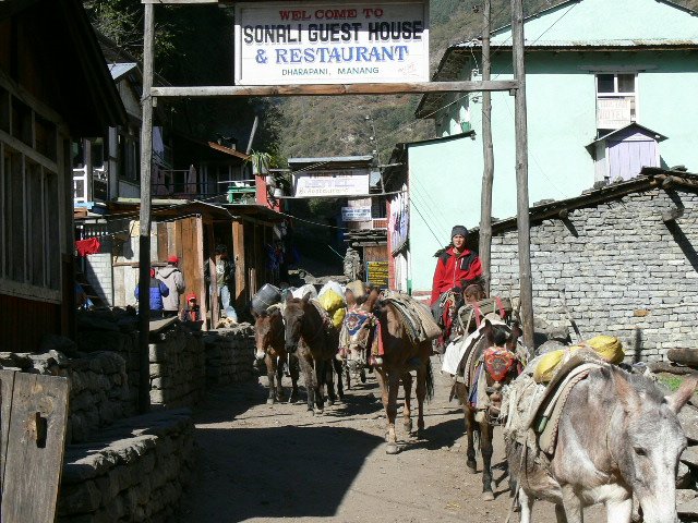 P1000797