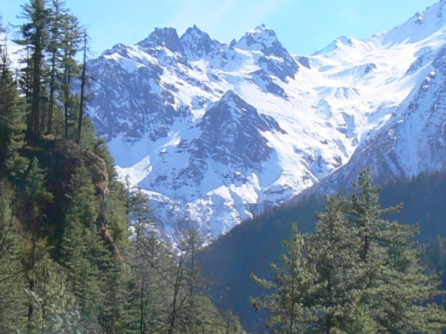P1000810