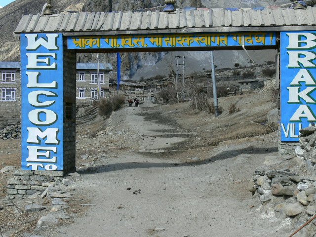 P1000817
