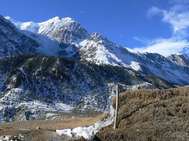 P1000818