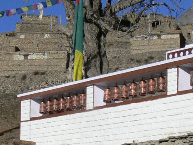 P1000821