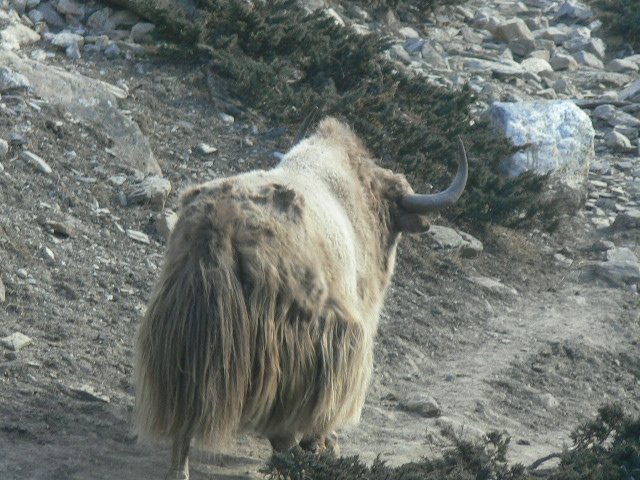 P1000828