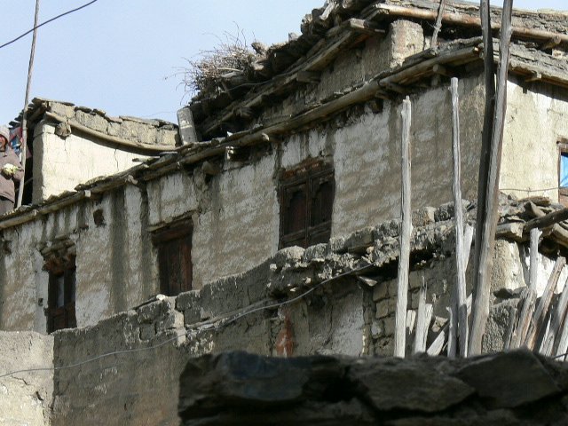 P1000874