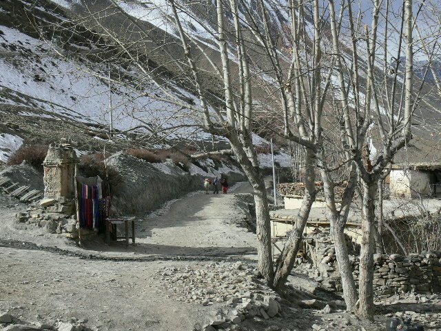 P1000885