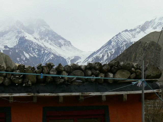 P1000922