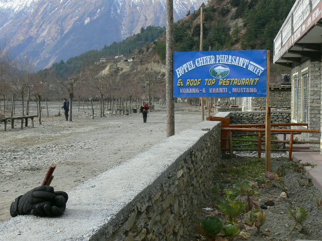 P1000976