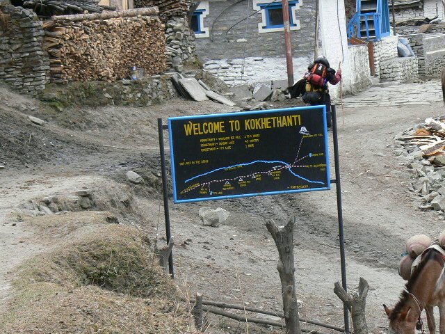 P1000979