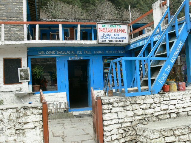 P1000980