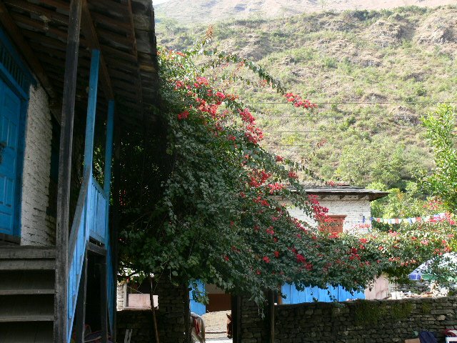 P1000997