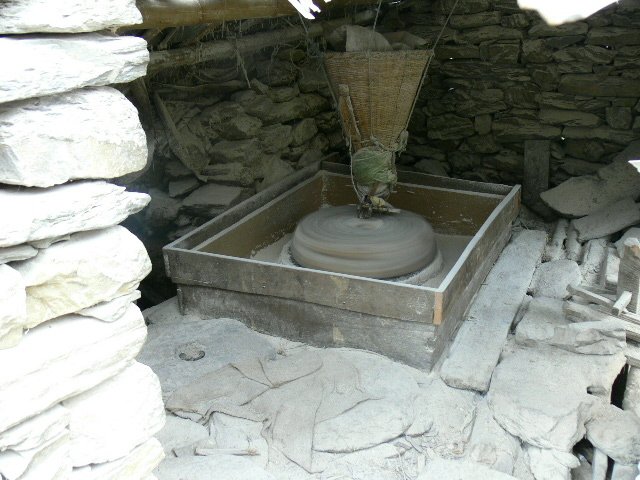 P1010002