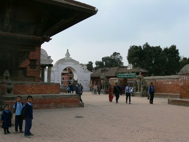 p1010241