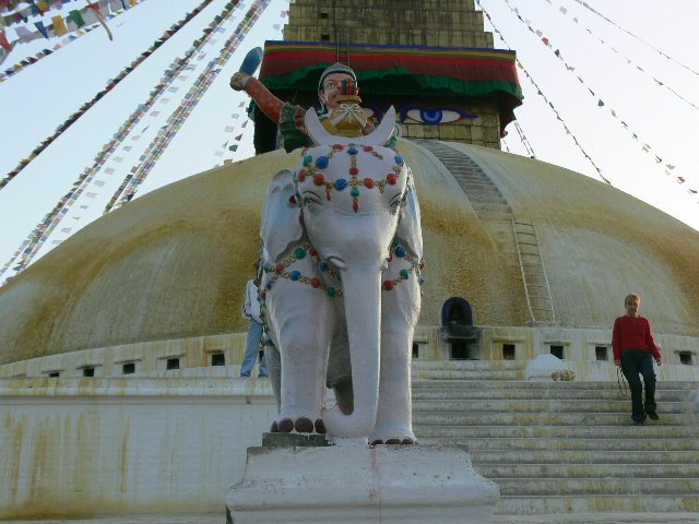 p1000698