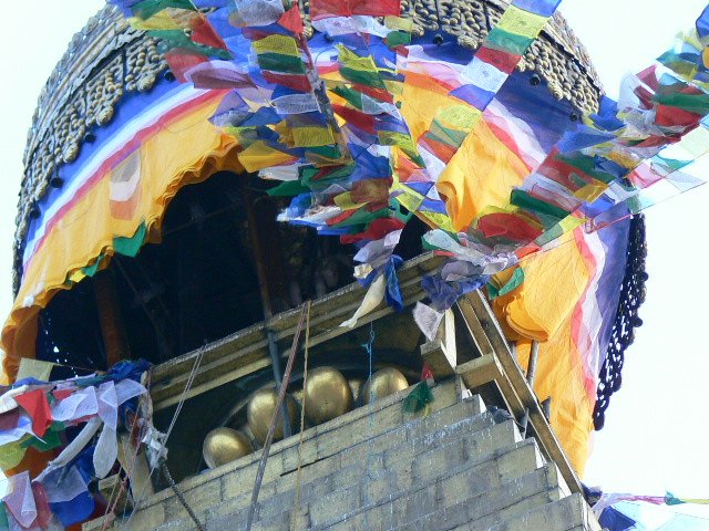 p1000704
