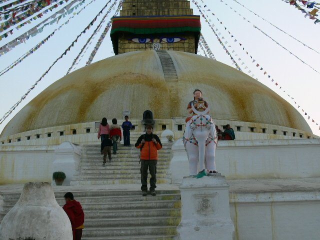 p1000708