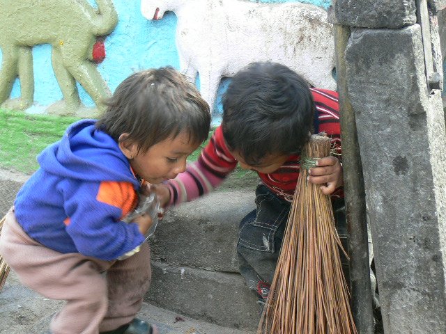 p1000483