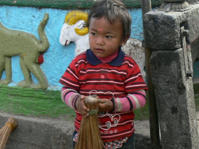 p1000487