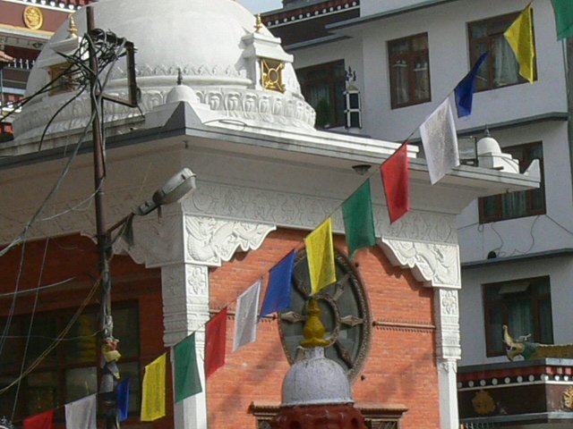 p1000313