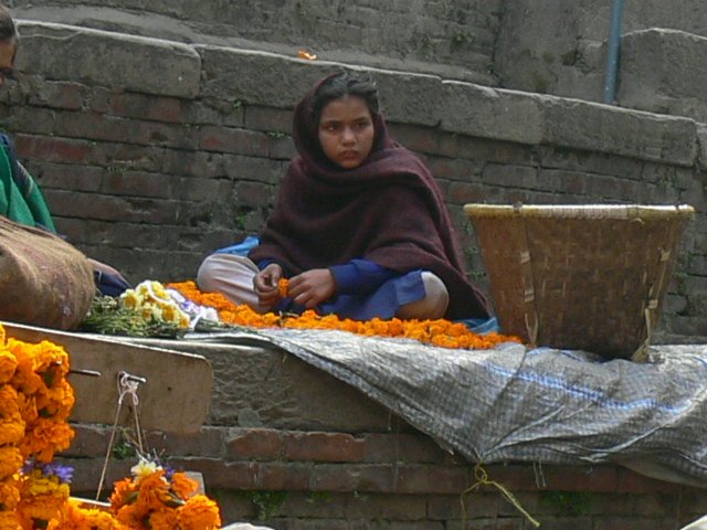 p1000336