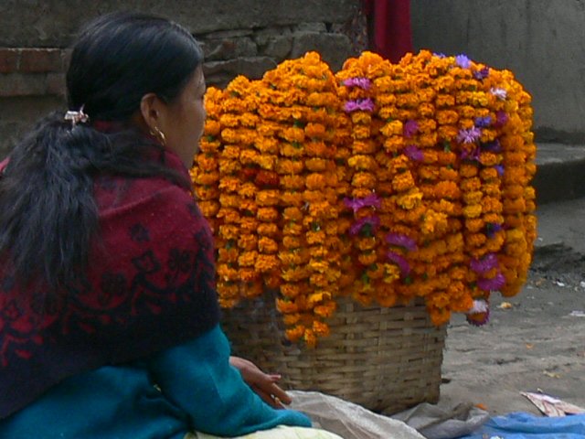 p1000341