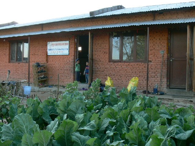 p1000526
