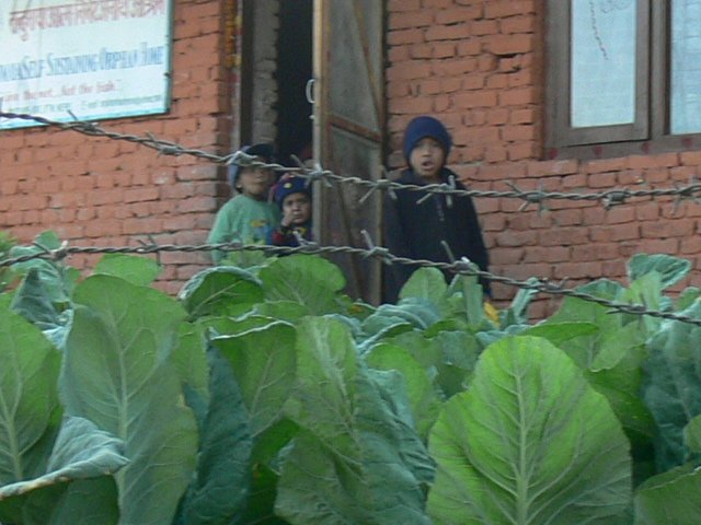 p1000531