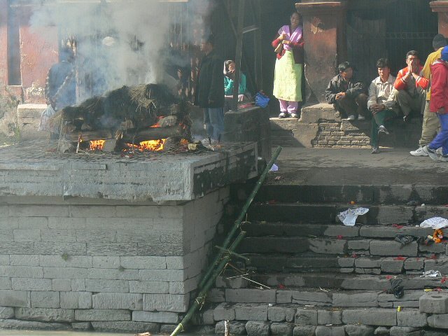 p1000585