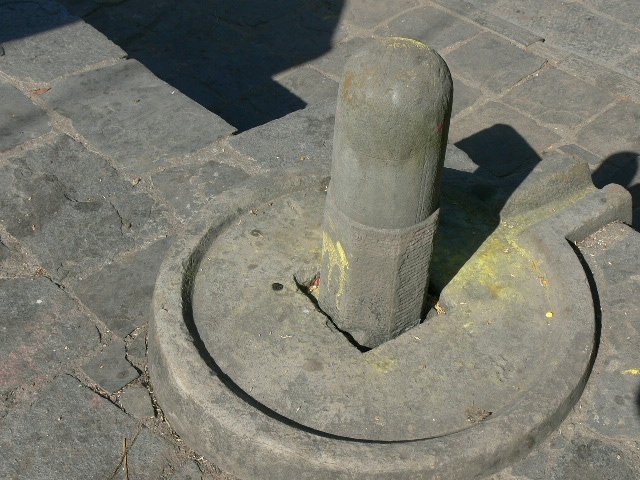 p1000606