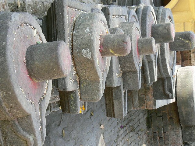 p1000609