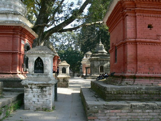 p1000649