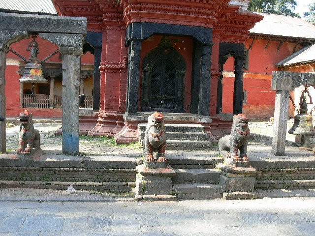 p1000650