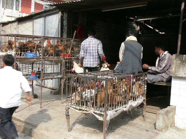 p1010097