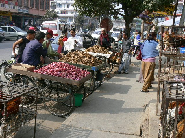 p1010098