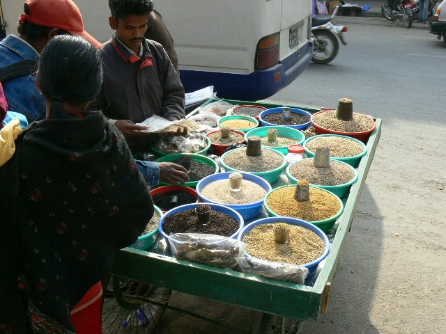 p1010099