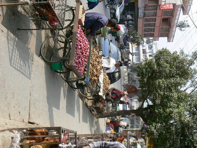 p1010100