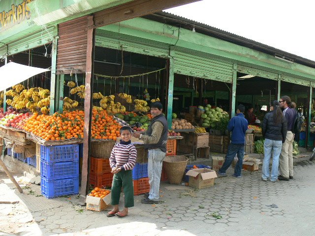 p1010115