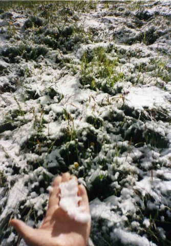 Neve