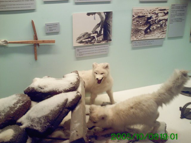 PICT0066