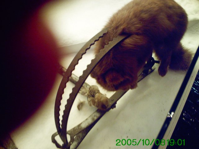 PICT0068