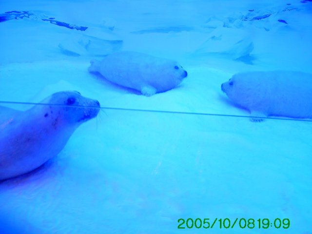 PICT0071
