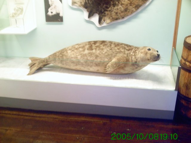 PICT0073