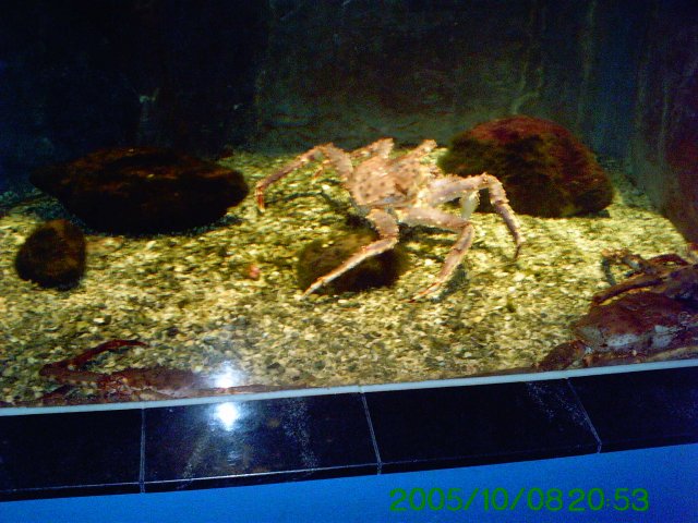 PICT0075