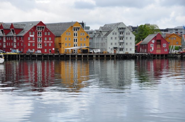 DSC_1514